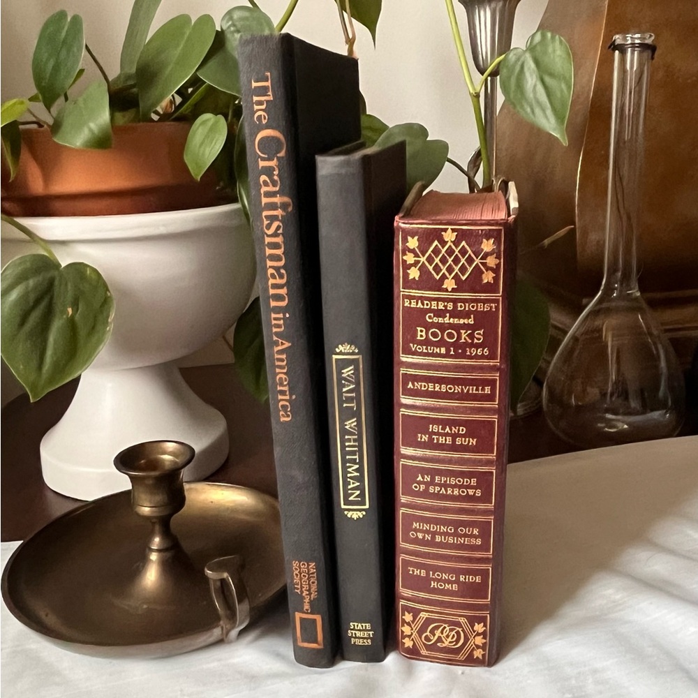 Curated Book Stack Set Decorative Vintage Hardcover Shelf Filler Dark Tones